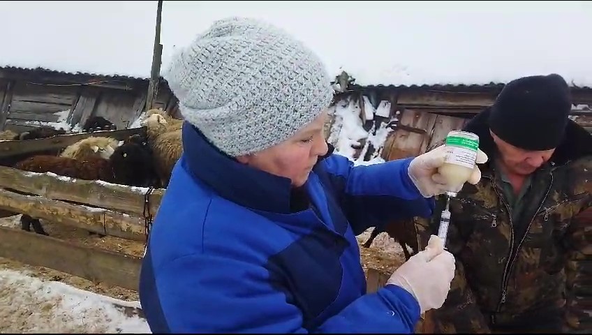 Ветслужба на страже здоровья.