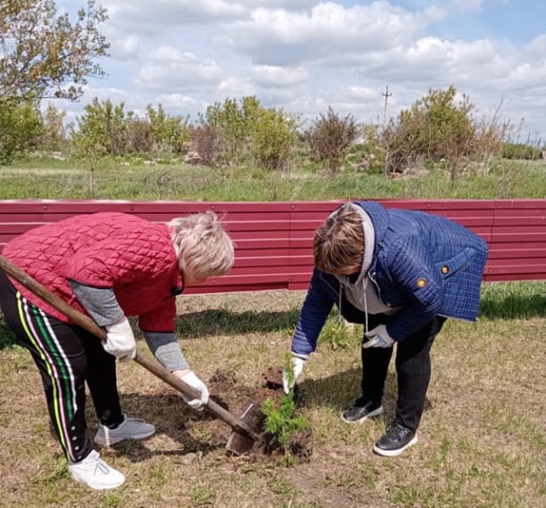 Благоустройство продолжается. Благоустройство продолжается.