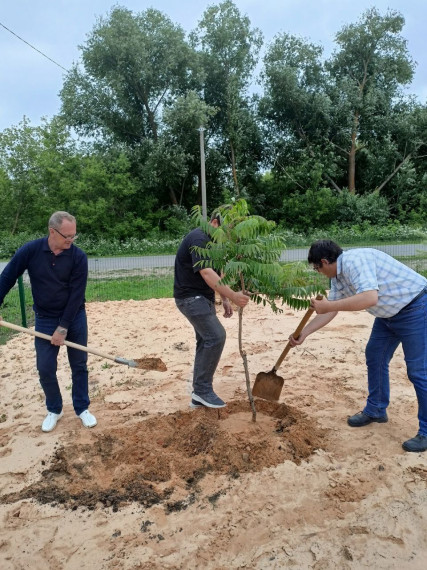 Благоустройство парков. Благоустройство парков.