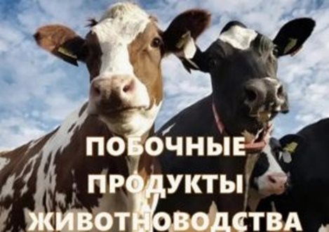 О направлении Уведомления о побочных продуктах животноводства. О направлении Уведомления о побочных продуктах животноводства.
